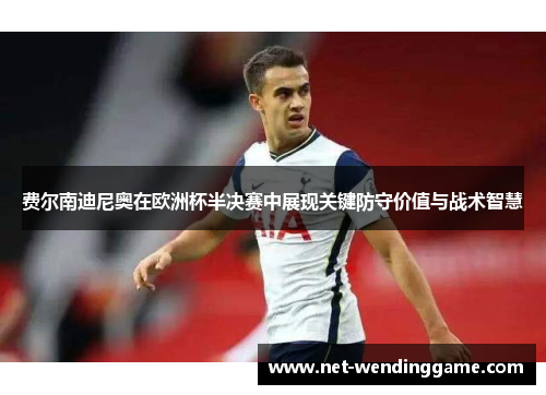 费尔南迪尼奥在欧洲杯半决赛中展现关键防守价值与战术智慧