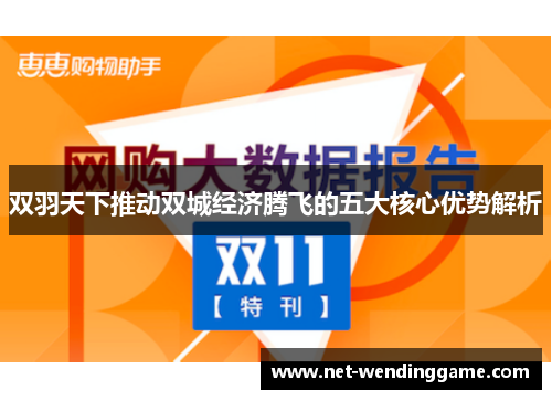 双羽天下推动双城经济腾飞的五大核心优势解析