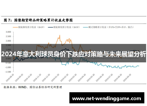 2024年意大利球员身价下跌应对策略与未来展望分析