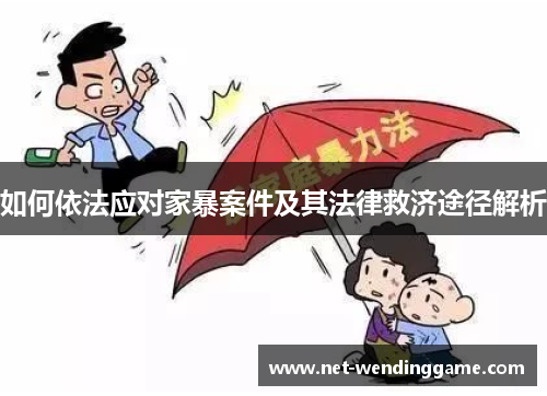 如何依法应对家暴案件及其法律救济途径解析