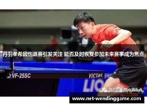 丹羽孝希因伤退赛引发关注 能否及时恢复参加未来赛事成为焦点